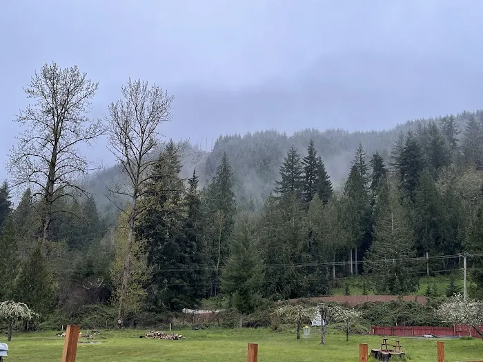 McSquizzy's R.V. Park Picture 3