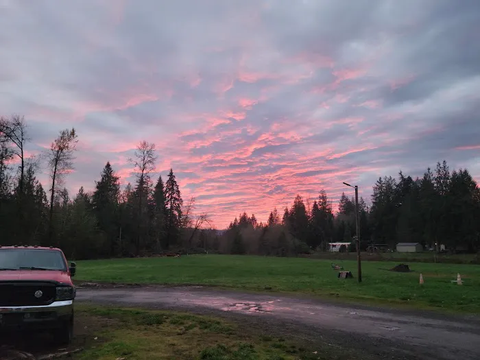 McSquizzy's R.V. Park Picture 2