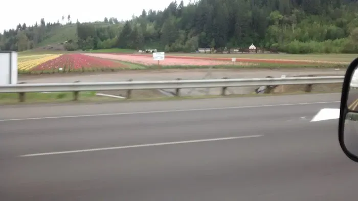 Mountain Road Park LLC & RV Park Picture 6