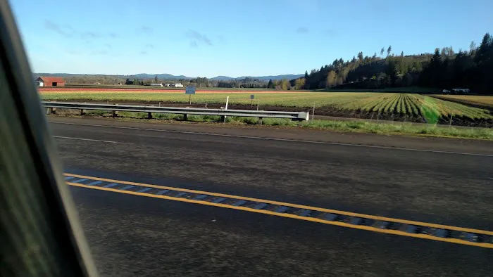 Mountain Road Park LLC & RV Park Picture 5