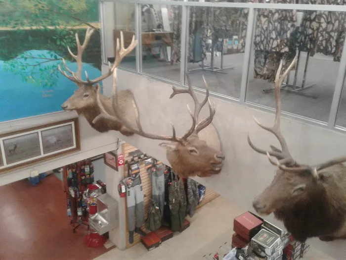 Mountain Road Park LLC & RV Park Picture 7