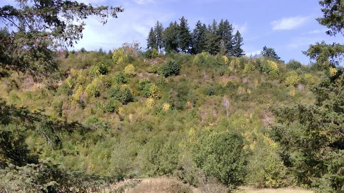 Mountain Road Park LLC & RV Park Picture 10