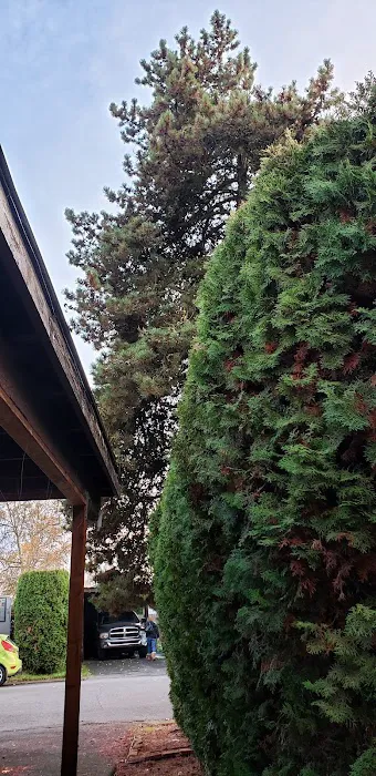 Ash Creek Mobile & RV Park Picture 3