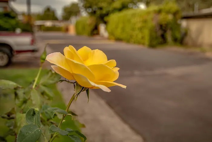 Monmouth Mobile Estates Picture 3