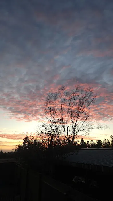 Hawthorne Acres Mobile Home Ct Picture 9