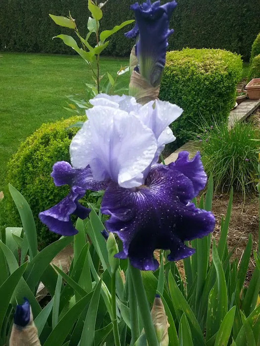 Meadow Creek Village Picture 4