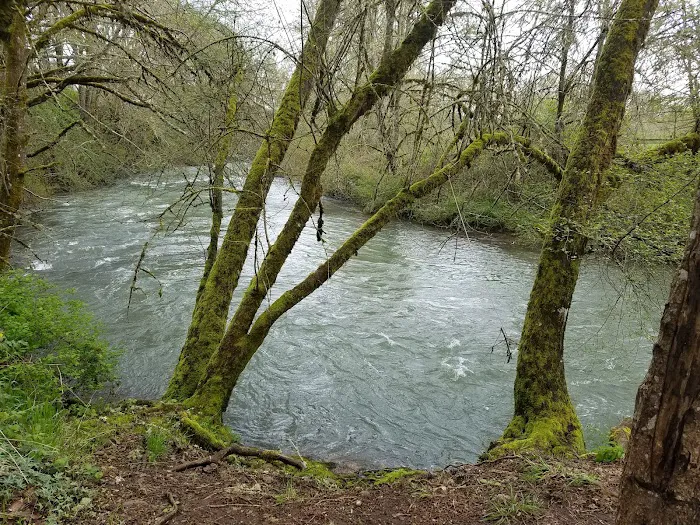 Meadow Creek Village Picture 6