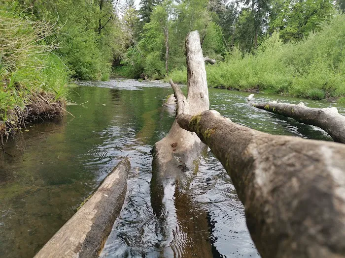 Meadow Creek Village Picture 1