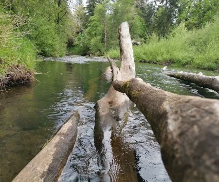 Meadow Creek Village