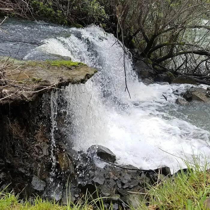 Meadow Creek Village Picture 9