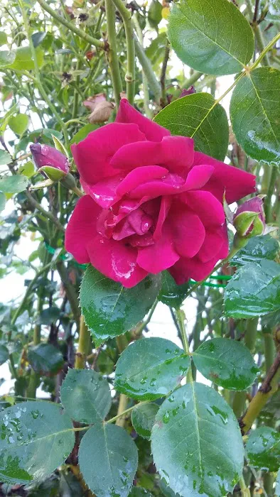 Albany RV and Trailer Park Picture 4