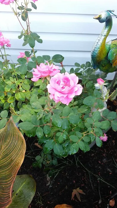 Albany RV and Trailer Park Picture 1