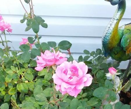 Albany RV and Trailer Park