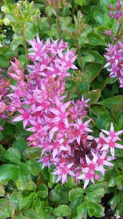 Albany RV and Trailer Park Picture 3