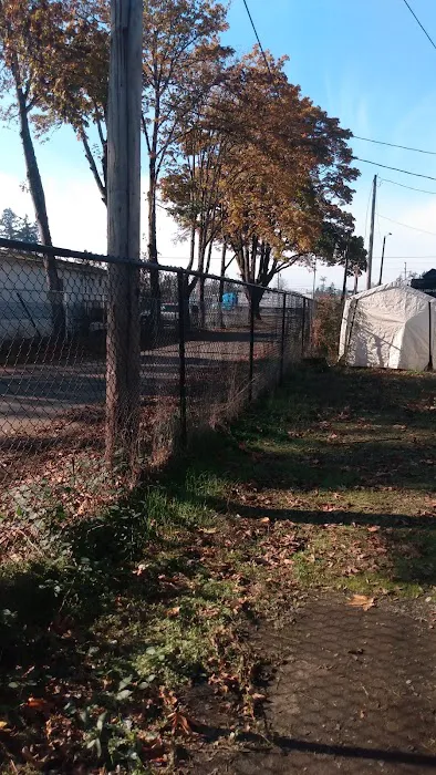 Albany RV and Trailer Park Picture 5