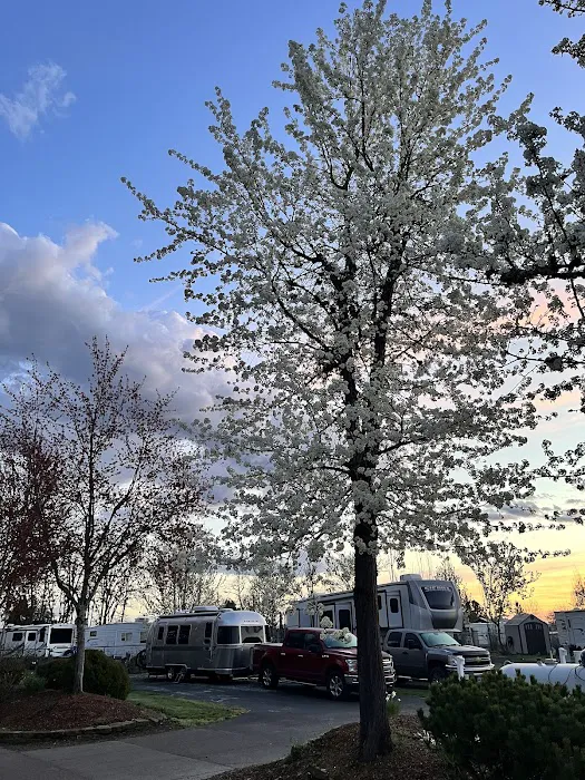 Knox Butte RV Park Picture 2