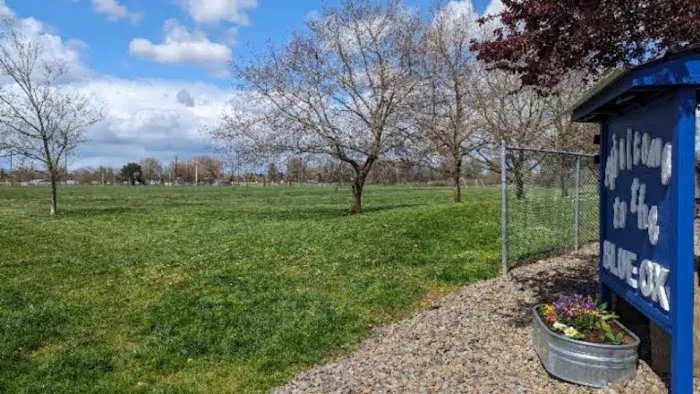 Blue Ox RV Park Picture 4