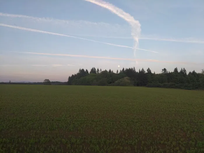 Scio Loop Country Community Llc Picture 2