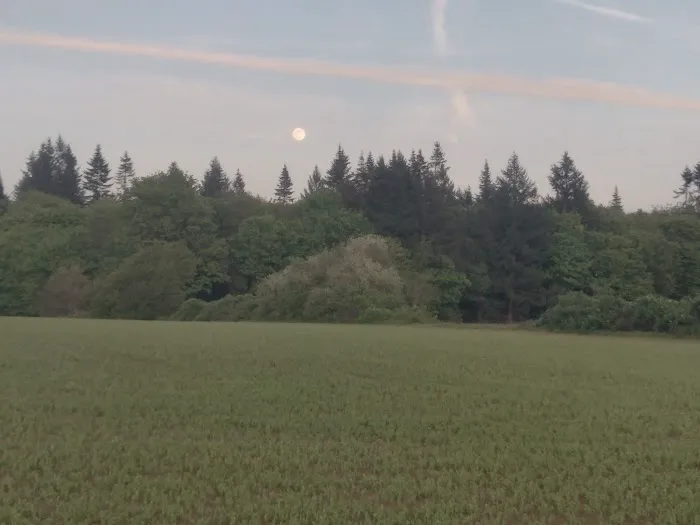 Scio Loop Country Community Llc Picture 5