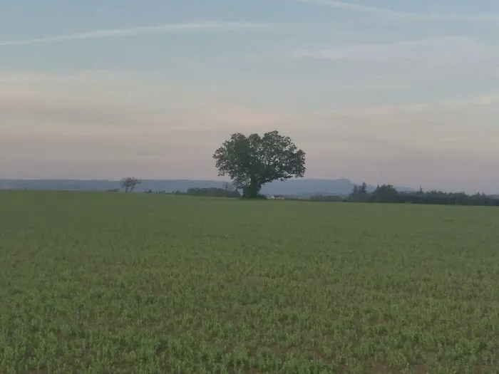 Scio Loop Country Community Llc Picture 1