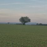 Scio Loop Country Community Llc