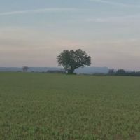 Scio Loop Country Community Llc ico