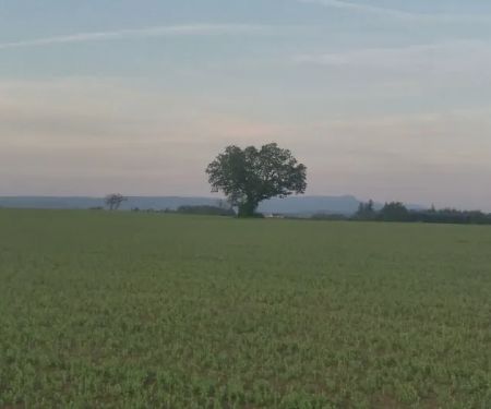 Scio Loop Country Community Llc