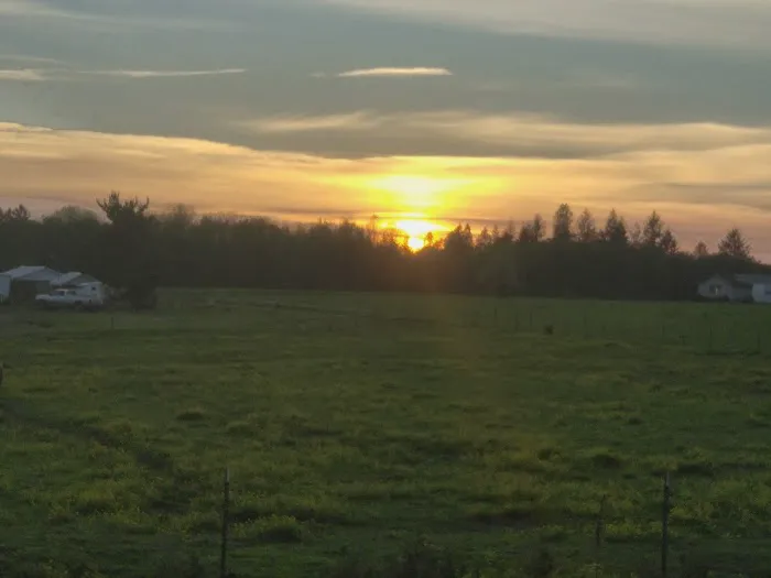 Scio Loop Country Community Llc Picture 7