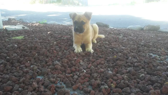 Periwinkle Mobile Park Picture 6