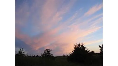 Andersens Oceanside RV Park & Cottages Picture 3