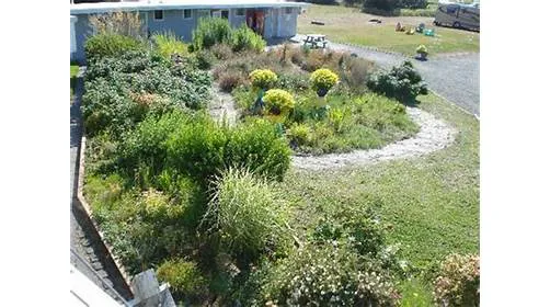 Andersens Oceanside RV Park & Cottages Picture 4