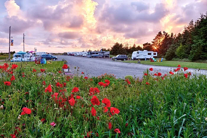 Andersens Oceanside RV Park & Cottages Picture 10