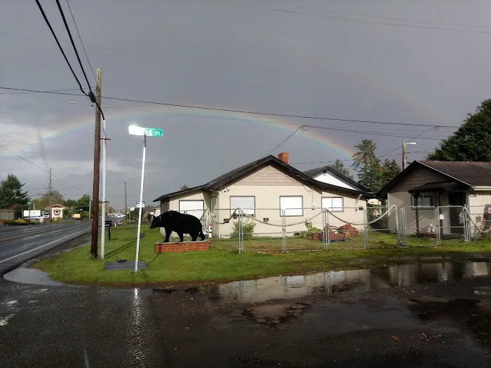 Black Bear Beach Camp Picture 1