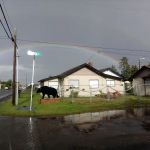 Black Bear Beach Camp