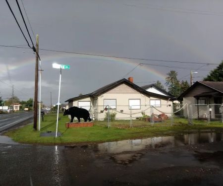 Black Bear Beach Camp