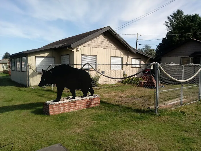 Black Bear Beach Camp Picture 5