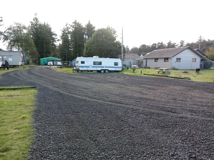 Black Bear Beach Camp Picture 3