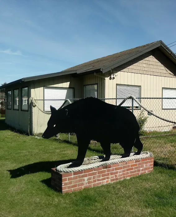 Black Bear Beach Camp Picture 9
