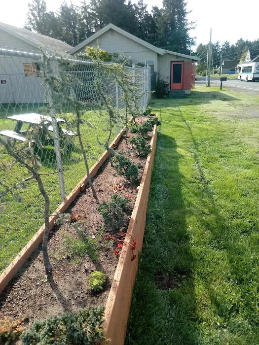 Black Bear Beach Camp Picture 2