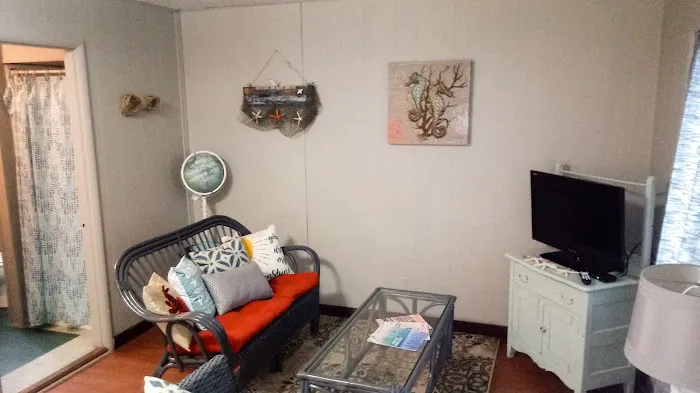 Black Bear Beach Camp Picture 4