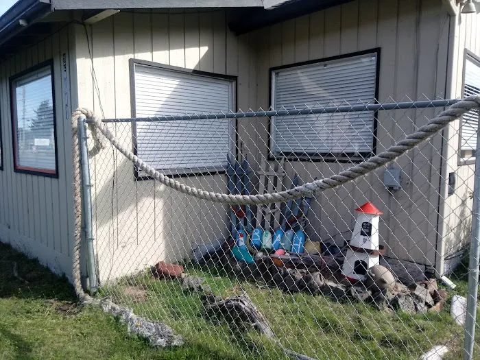 Black Bear Beach Camp Picture 6