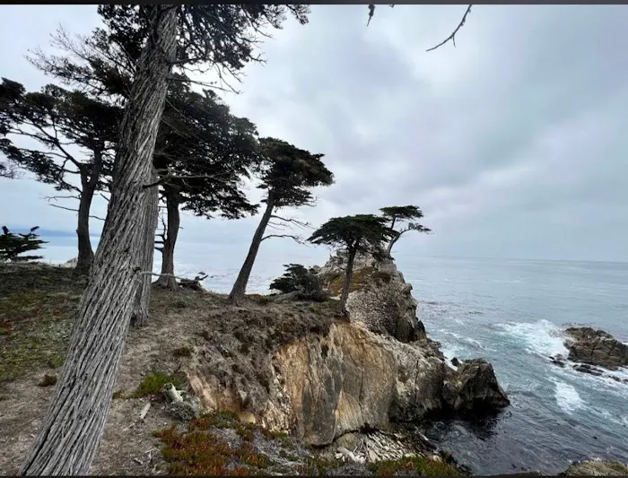 Ocean Bay Mobile & RV Park Picture 4