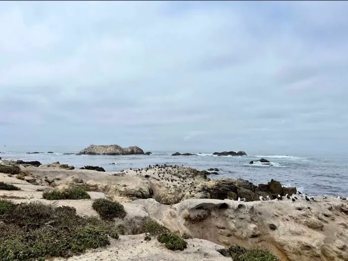 Ocean Bay Mobile & RV Park Picture 1