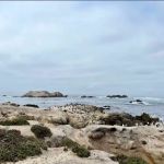 Ocean Bay Mobile & RV Park