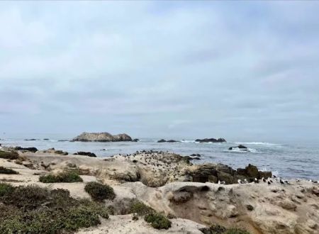 Ocean Bay Mobile & RV Park