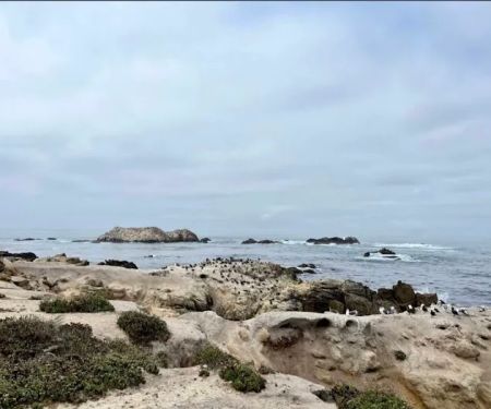 Ocean Bay Mobile & RV Park