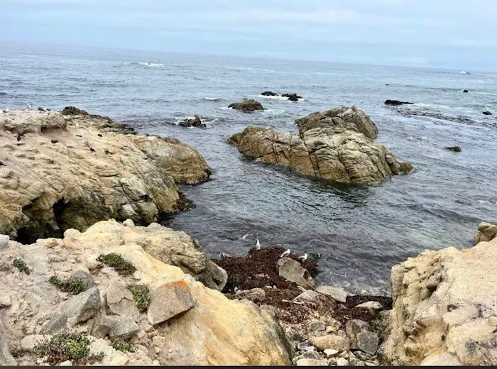 Ocean Bay Mobile & RV Park Picture 7