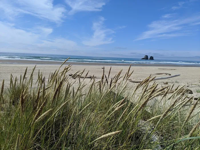 Shorewood RV Resort Picture 1