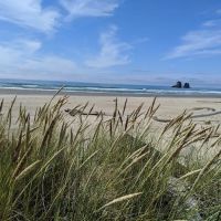 Shorewood RV Resort ico