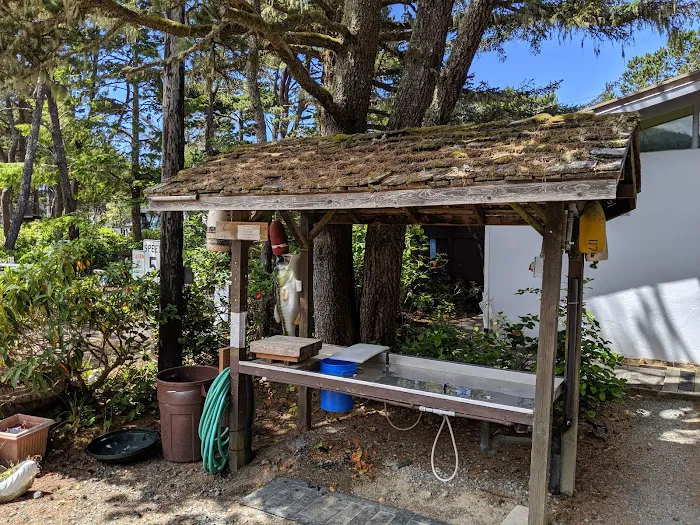 Shorewood RV Resort Picture 10